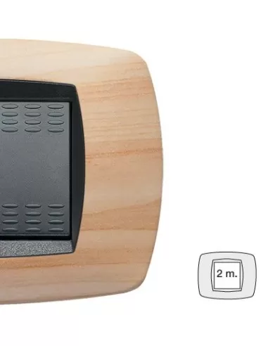 Master way plate 2 places ash 39tc442